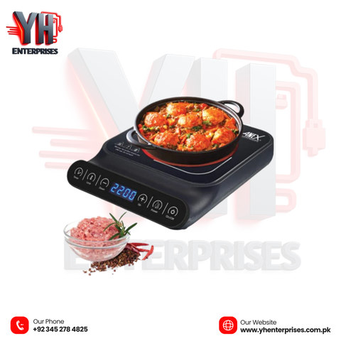 Anex AG-2166EX Deluxe Hot Plate – Smart Cooking with Precision Power