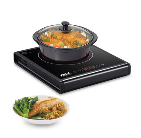Anex Deluxe Hot Plate AG-2167