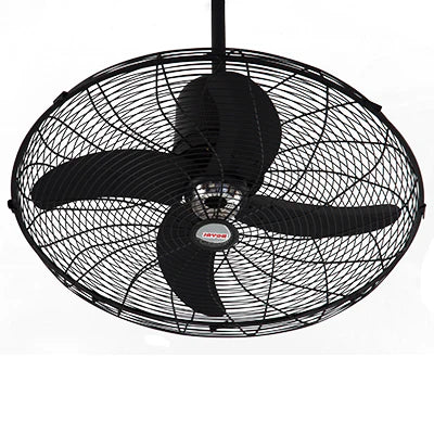 Royal Deluxe Circo Fan 24 inch