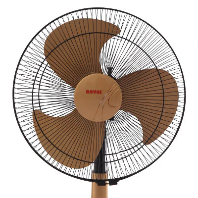 Royal Glamour TCP Fan 18"