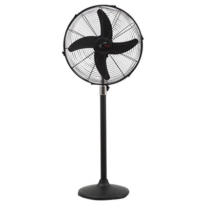 Royal Magnum Black Pedestal Fan