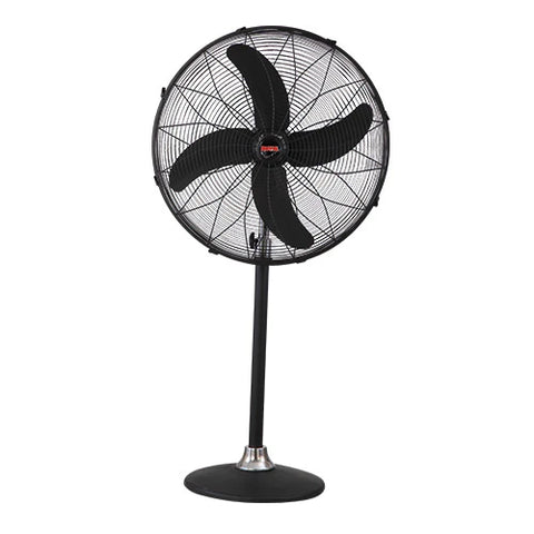 Royal Pedestal Fan AC/DC